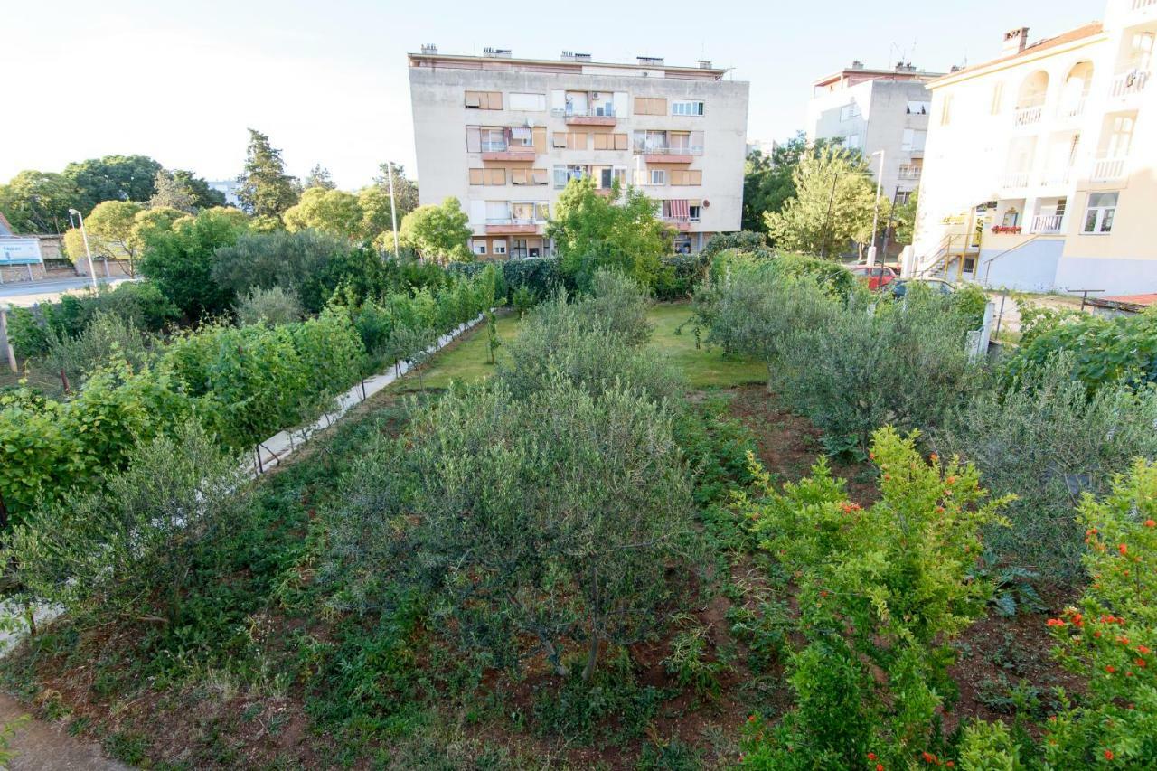 Apartment Relja Zadar Exterior foto